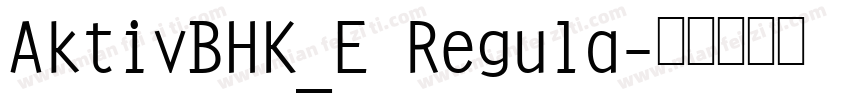 AktivBHK_E Regula字体转换